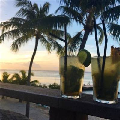 八分音符酱去广告版下载